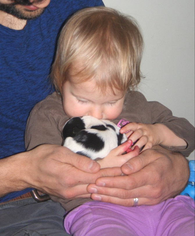 Baby kissing havanese puppy