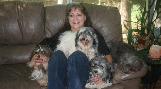 Is It ok To Get 2 Havanese Puppies?